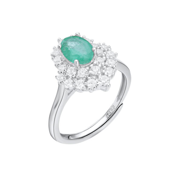 Luxury Style Women's Ring Temperament Fashion Ring Versatile S925 Silver - obrazek 6
