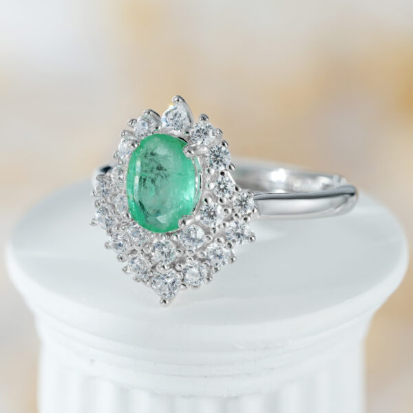 Luxury Style Women's Ring Temperament Fashion Ring Versatile S925 Silver - obrazek 7