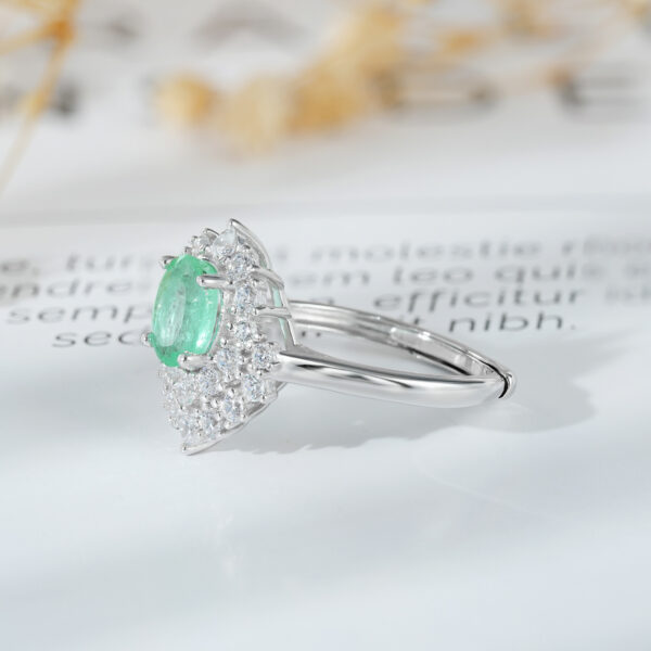 Luxury Style Women's Ring Temperament Fashion Ring Versatile S925 Silver - obrazek 2